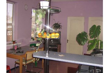 Krievija Chata Vitjazevo, Vitjazevo, Eksterjers